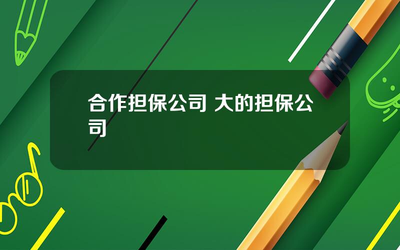 合作担保公司 大的担保公司
